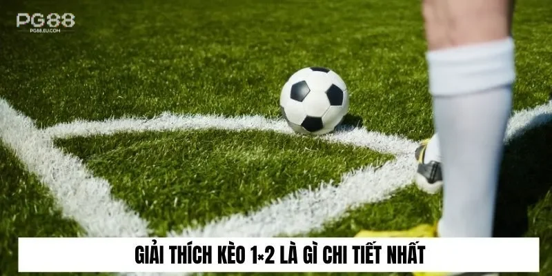 Giải thích kèo 1×2 là gì chi tiết nhất