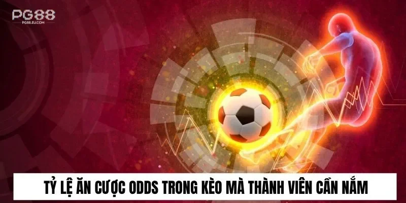 Tỷ lệ ăn cược Odds